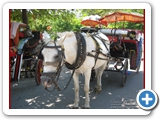 Crociera 2009_037