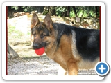 Schott_041