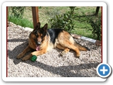 Schott_046