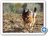 Schott_061