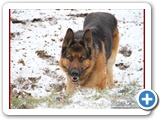 Schott_064