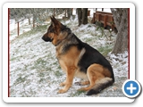 Schott_065