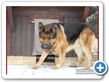 Schott_067