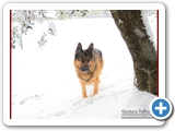 Schott_070