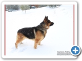 Schott_071
