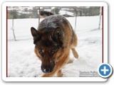 Schott_075