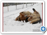 Schott_076