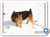 Schott_077