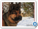 Schott_078